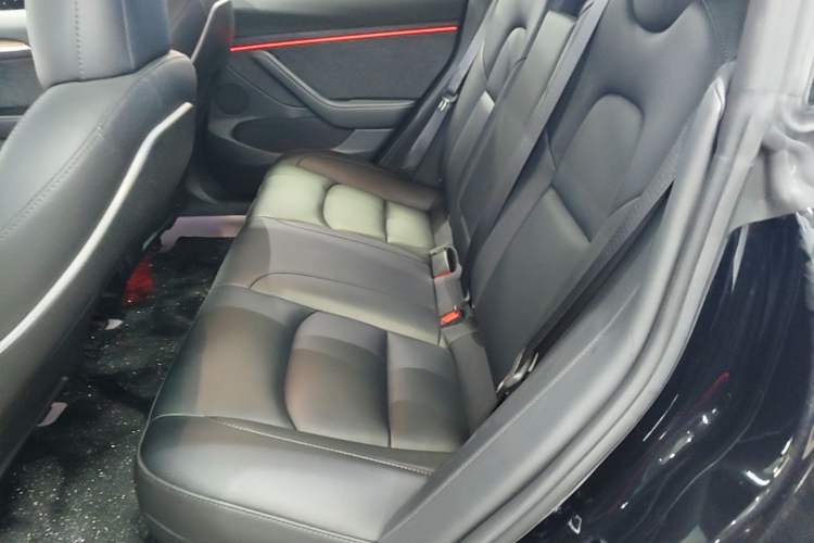 Used Tesla Model 3 2022 Rear-Wheel-Drive Version Left Rear Seat