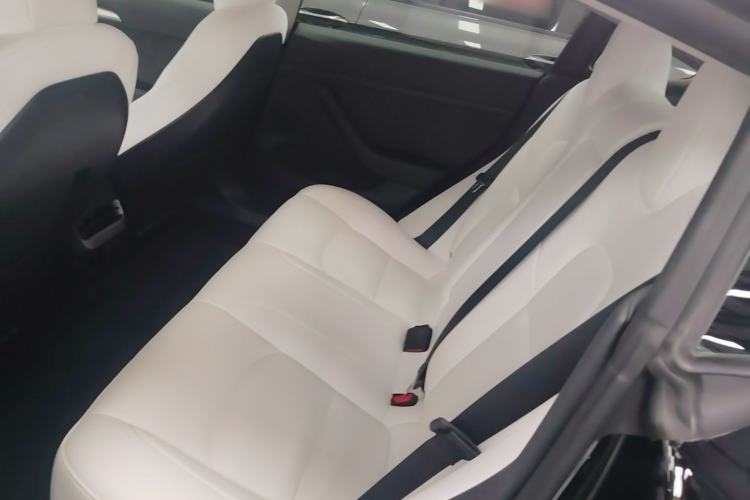 Used Tesla Model 3 2022 Performance High-Performance All-Wheel-Drive Version Left Rear Seat