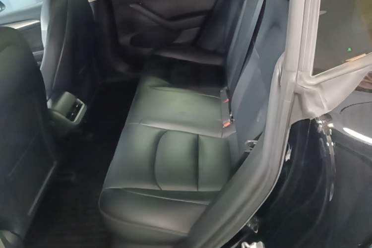 Used Tesla Model 3 2022 Rear-Wheel-Drive Version Left Rear Seat
