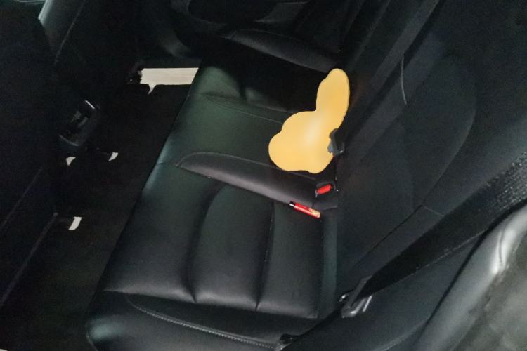 Used Tesla Model 3 2022 Rear-Wheel-Drive Version Left Rear Seat