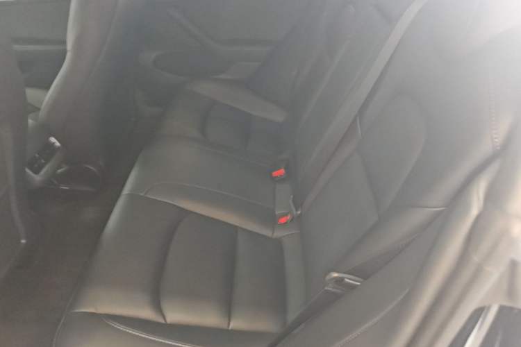 Used Tesla Model 3 2022 Rear-Wheel-Drive Version Left Rear Seat