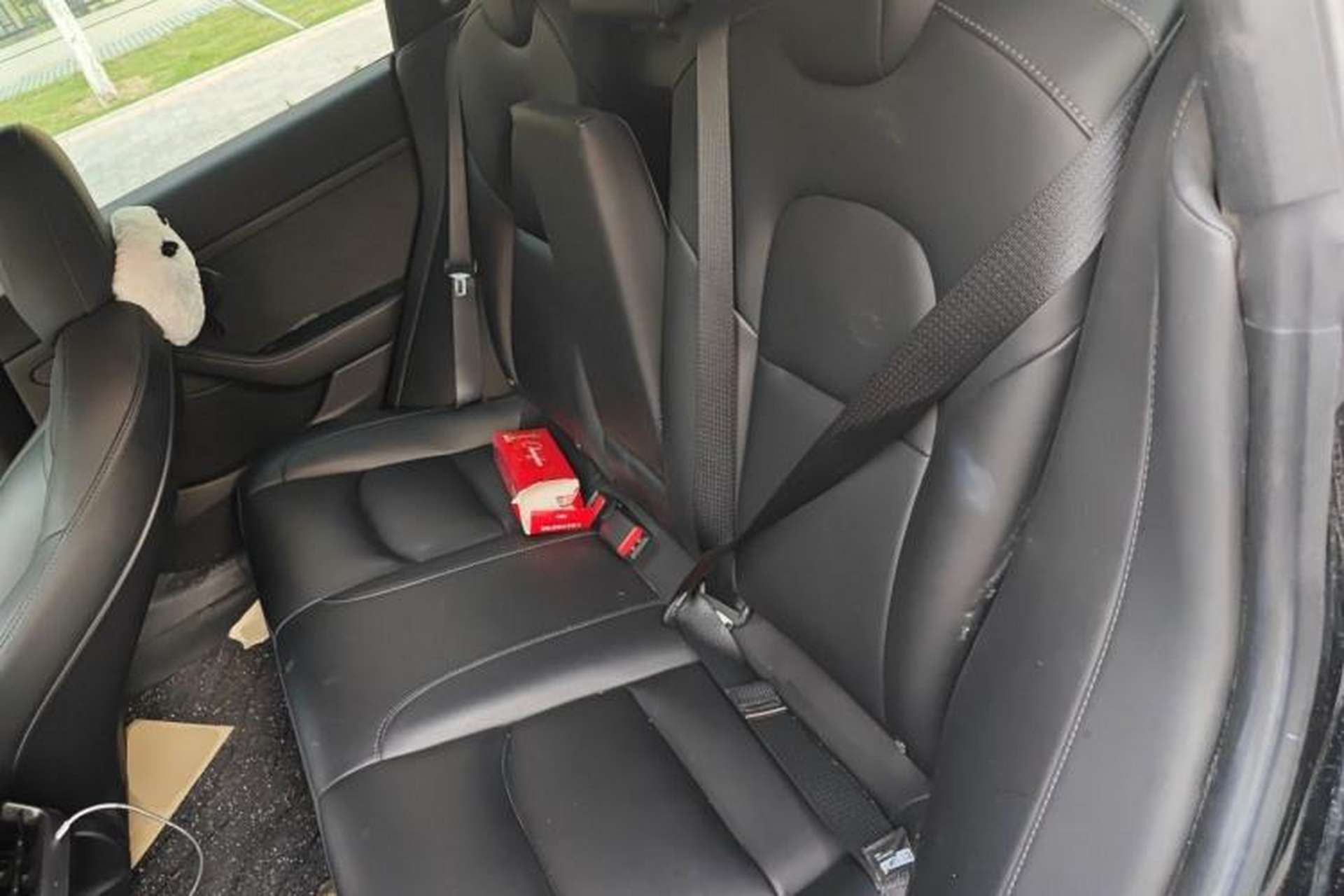 Used Tesla Model 3 2022 Rear-Wheel-Drive Version Left Rear Seat