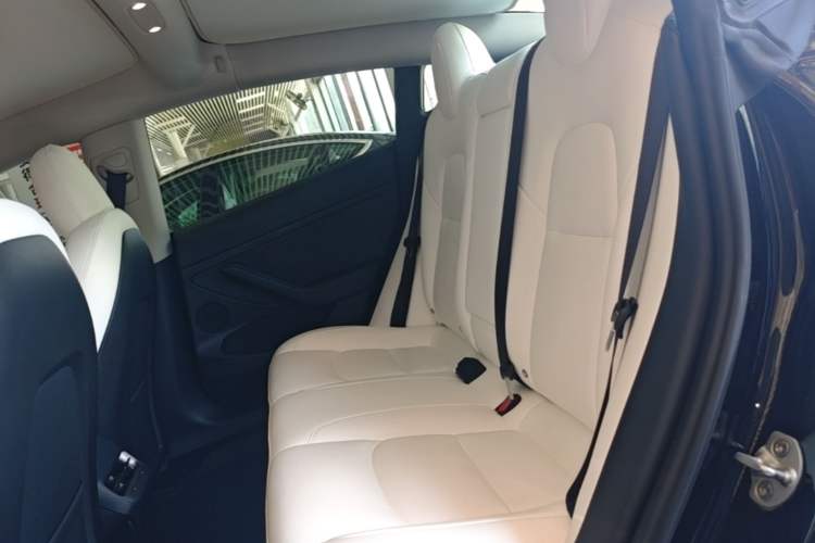 Used Tesla Model 3 2022 Rear-Wheel-Drive Version Left Rear Seat