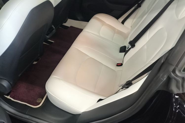 Used Tesla Model 3 2022 Rear-Wheel-Drive Version Left Rear Seat