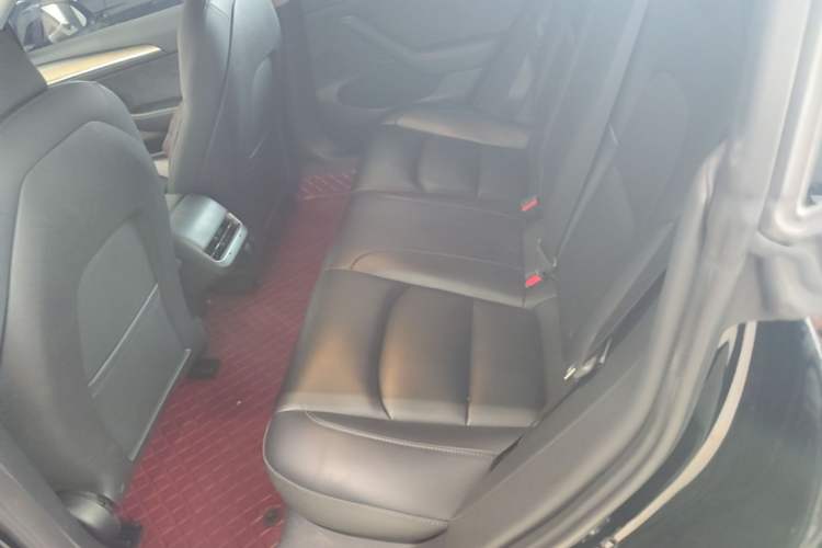 Used Tesla Model 3 2022 Rear-Wheel-Drive Version Left Rear Seat