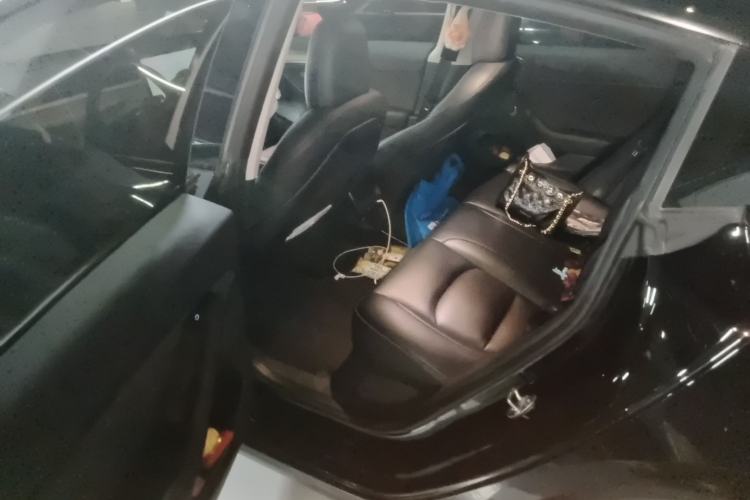 Used Tesla Model 3 2022 Rear-Wheel-Drive Version Left Rear Seat