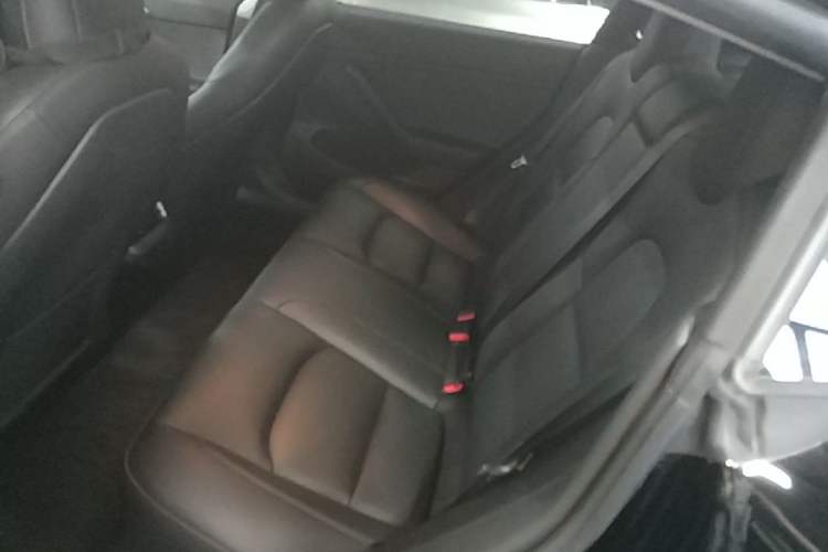 Used Tesla Model 3 2022 Rear-Wheel-Drive Version Left Rear Seat