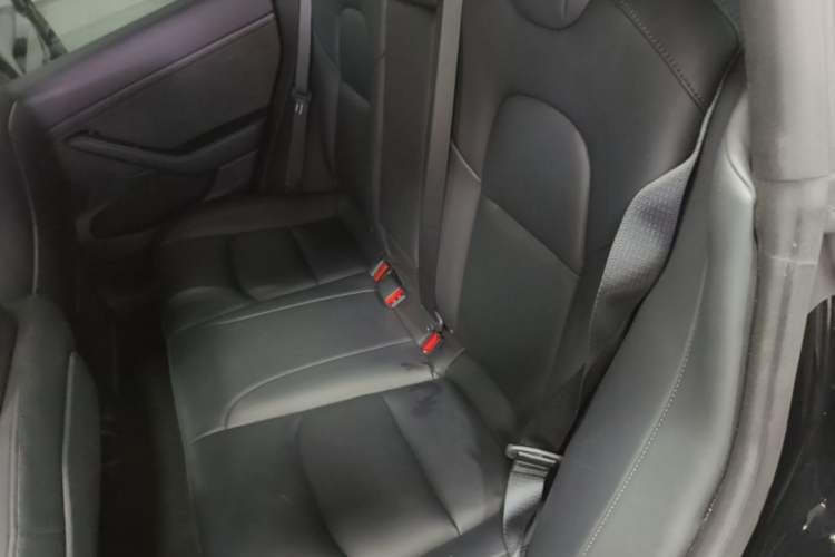 Used Tesla Model 3 2022 Rear-Wheel-Drive Version Left Rear Seat
