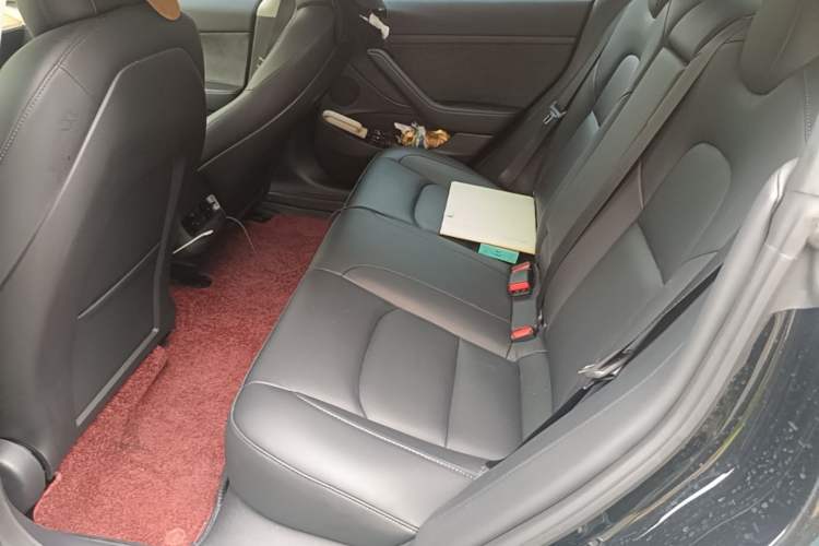 Used Tesla Model 3 2022 Performance High-Performance All-Wheel-Drive Version Left Rear Seat