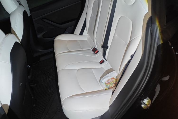 Used Tesla Model 3 2022 Performance High-Performance All-Wheel-Drive Version Left Rear Seat