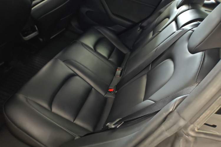 Used Tesla Model 3 2022 Rear-Wheel-Drive Version Left Rear Seat