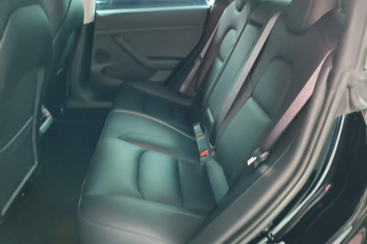 Used Tesla Model 3 2022 Rear-Wheel-Drive Version Left Rear Seat