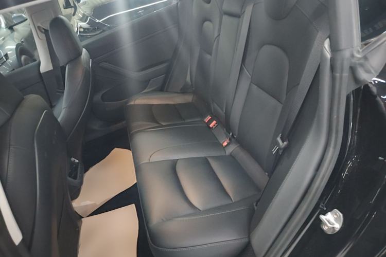 Used Tesla Model 3 2022 Rear-Wheel-Drive Version Left Rear Seat