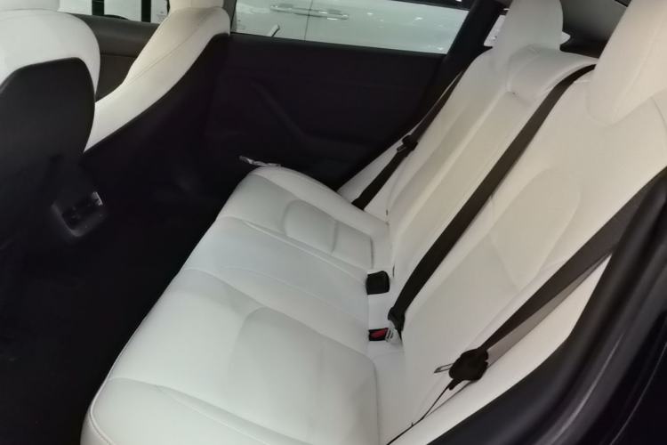 Used Tesla Model 3 2022 Performance High-Performance All-Wheel-Drive Version Left Rear Seat