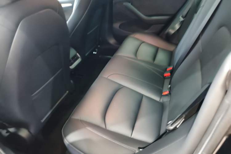 Used Tesla Model 3 2022 Performance High-Performance All-Wheel-Drive Version Left Rear Seat