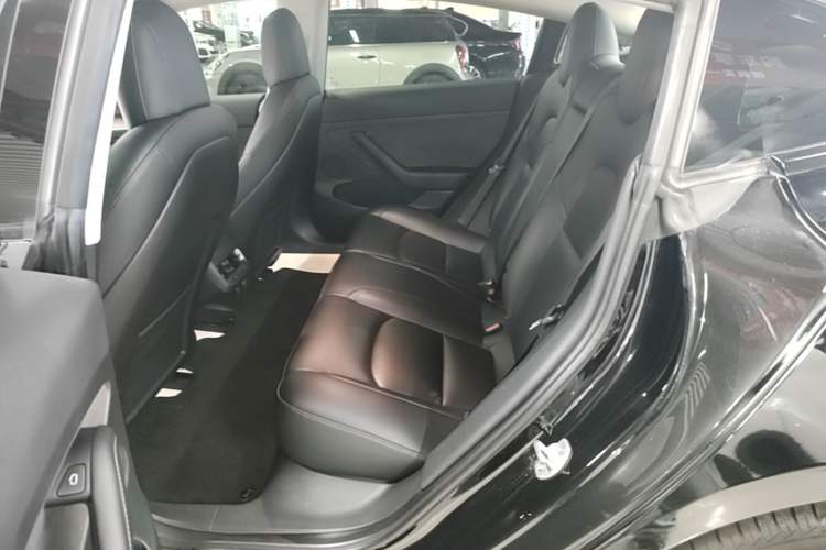 Used Tesla Model 3 2022 Rear-Wheel-Drive Version Left Rear Seat