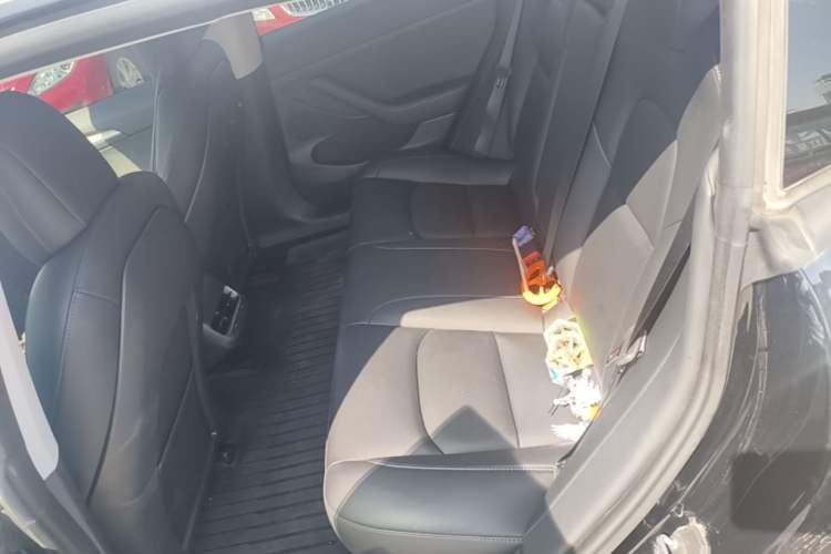 Used Tesla Model 3 2022 Rear-Wheel-Drive Version Left Rear Seat