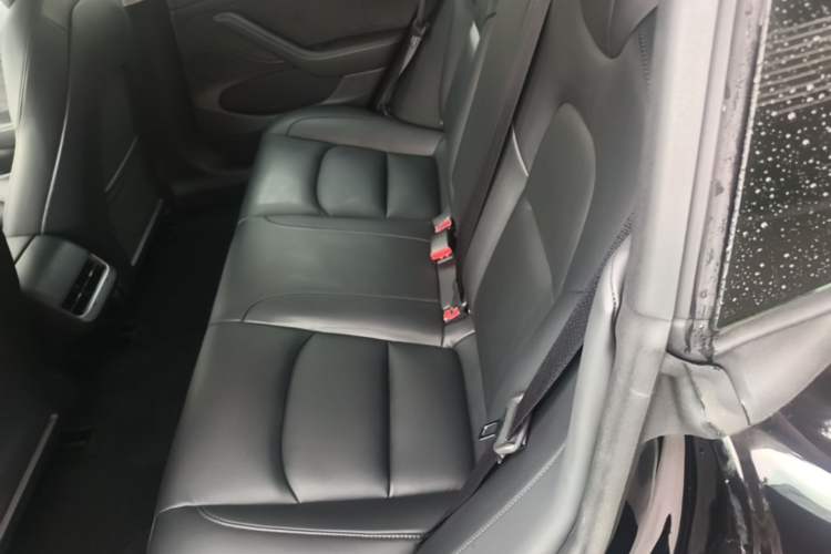 Used Tesla Model 3 2022 Rear-Wheel-Drive Version Left Rear Seat