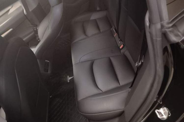 Used Tesla Model 3 2022 Rear-Wheel-Drive Version Left Rear Seat