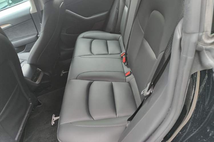 Used Tesla Model 3 2022 Rear-Wheel-Drive Version Left Rear Seat
