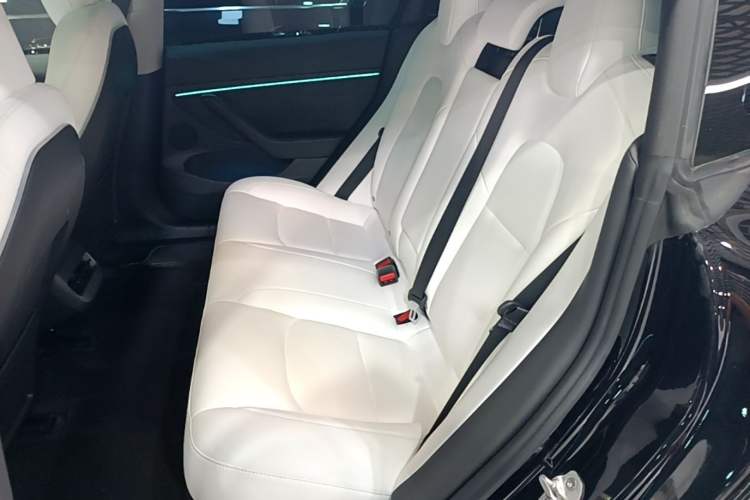 Used Tesla Model 3 2022 Rear-Wheel-Drive Version Left Rear Seat