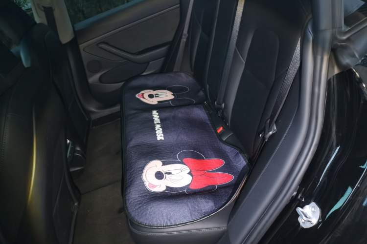 Used Tesla Model 3 2022 Rear-Wheel-Drive Version Left Rear Seat