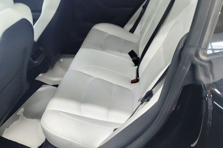 Used Tesla Model 3 2022 Performance High-Performance All-Wheel-Drive Version Left Rear Seat