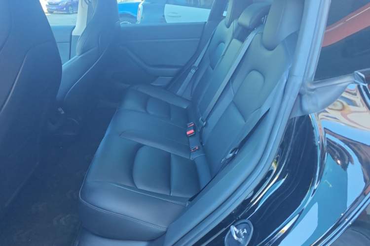 Used Tesla Model 3 2022 Rear-Wheel-Drive Version Left Rear Seat