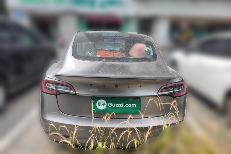 Used Tesla Model 3 2022 Rear-Wheel-Drive Version Rear