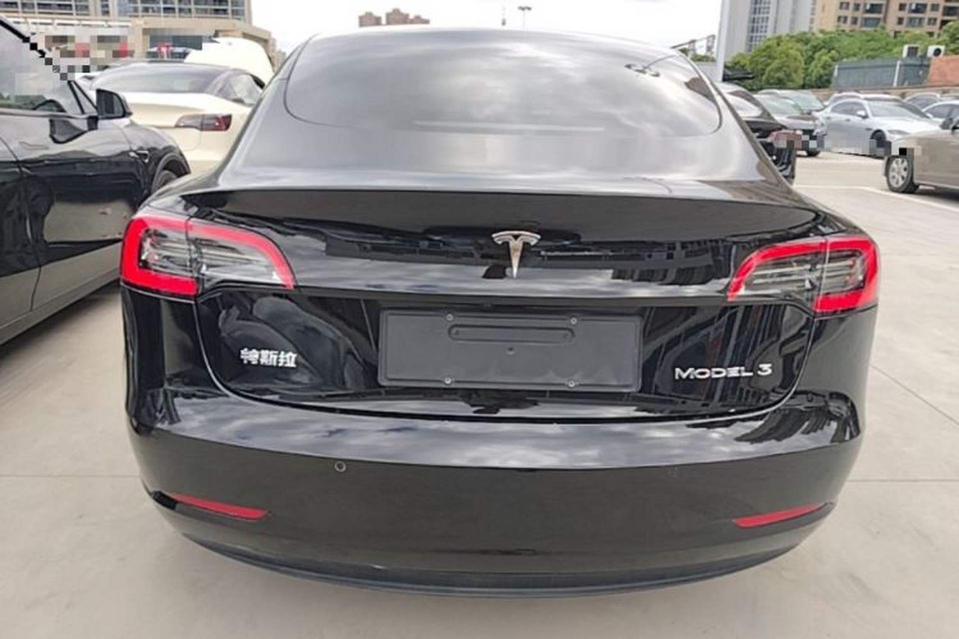 Used Tesla Model 3 2022 Rear-Wheel-Drive Version Rear