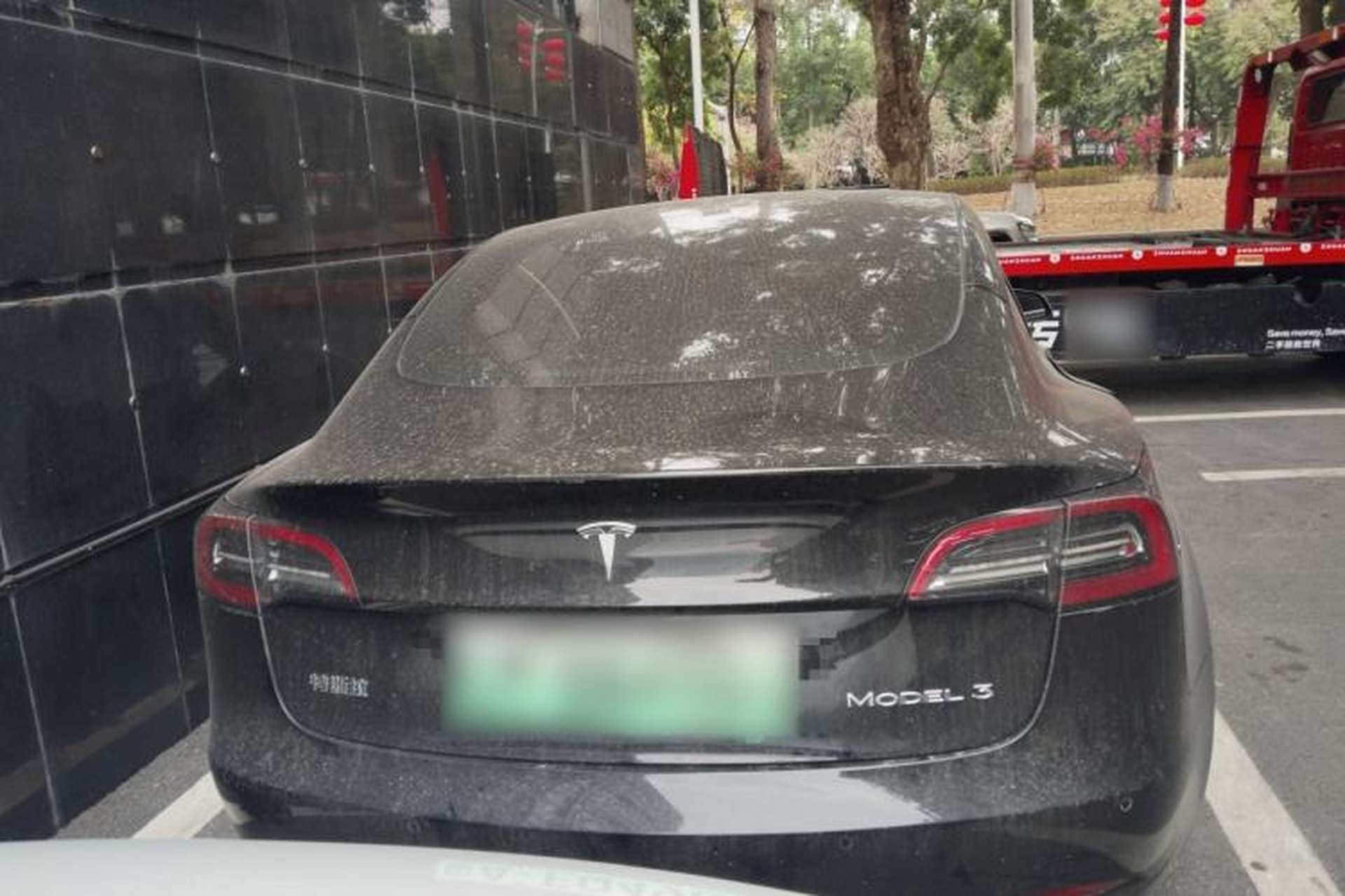 Used Tesla Model 3 2022 Rear-Wheel-Drive Version Rear
