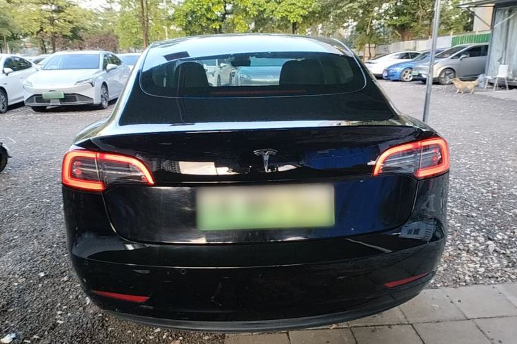 Used Tesla Model 3 2022 Rear-Wheel-Drive Version Rear