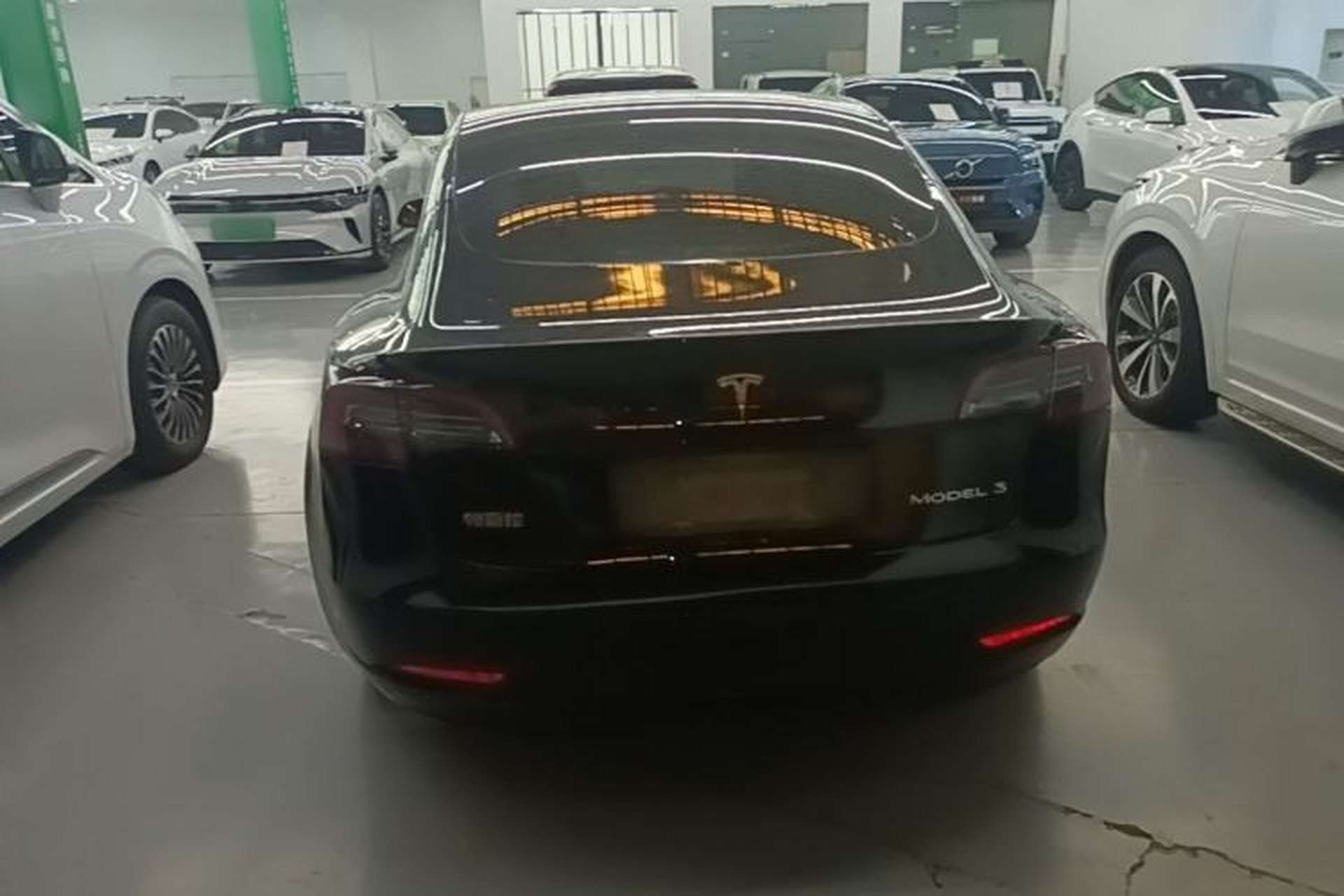Used Tesla Model 3 2022 Rear-Wheel-Drive Version Rear