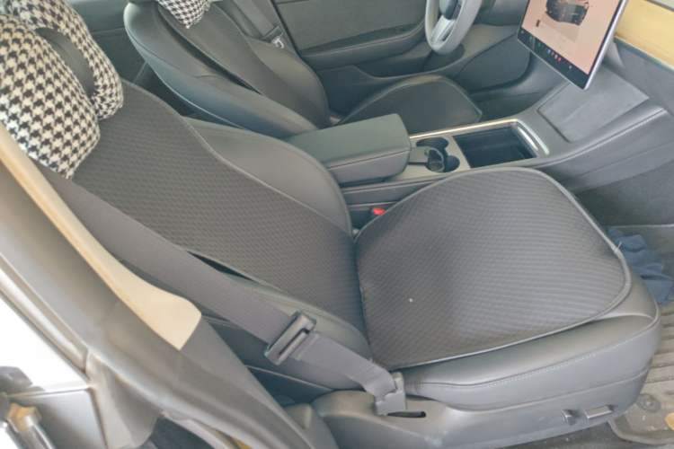 Used Tesla Model 3 2022 Rear-Wheel-Drive Version Right Front Seat