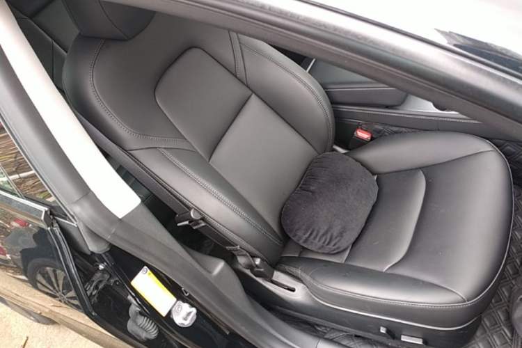 Used Tesla Model 3 2022 Rear-Wheel-Drive Version Right Front Seat
