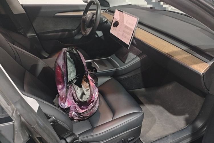 Used Tesla Model 3 2022 Rear-Wheel-Drive Version Right Front Seat