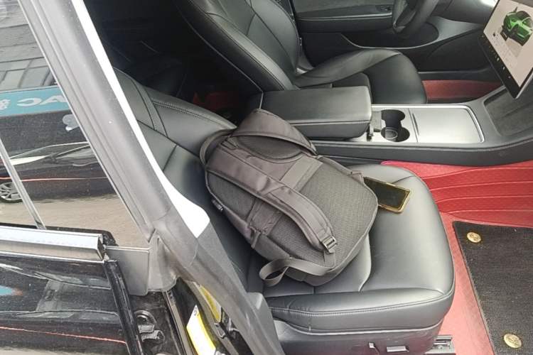 Used Tesla Model 3 2022 Rear-Wheel-Drive Version Right Front Seat