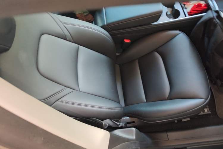 Used Tesla Model 3 2022 Rear-Wheel-Drive Version Right Front Seat