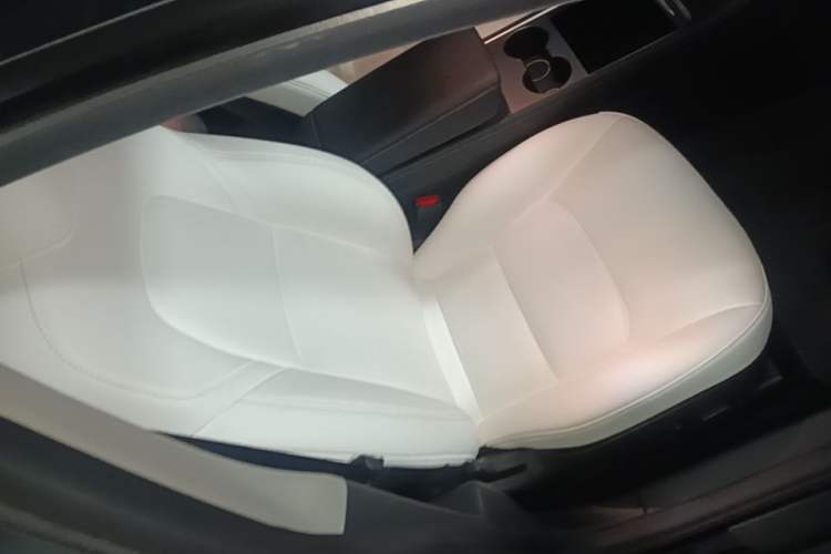 Used Tesla Model 3 2022 Rear-Wheel-Drive Version Right Front Seat