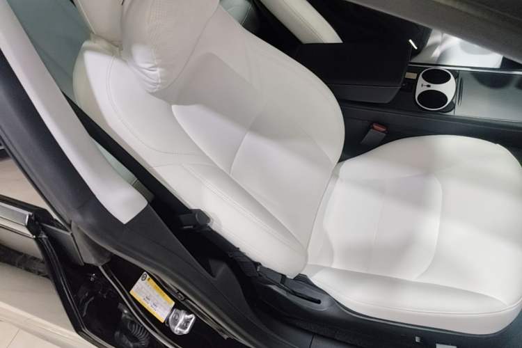 Used Tesla Model 3 2022 Performance High-Performance All-Wheel-Drive Version Right Front Seat