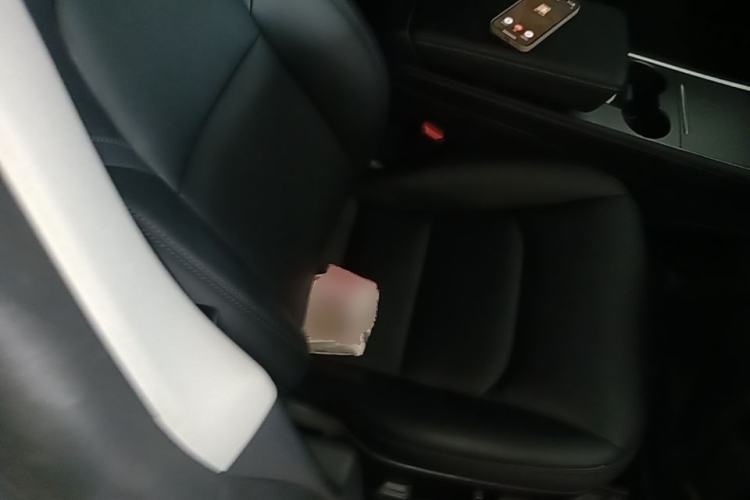 Used Tesla Model 3 2022 Rear-Wheel-Drive Version Right Front Seat