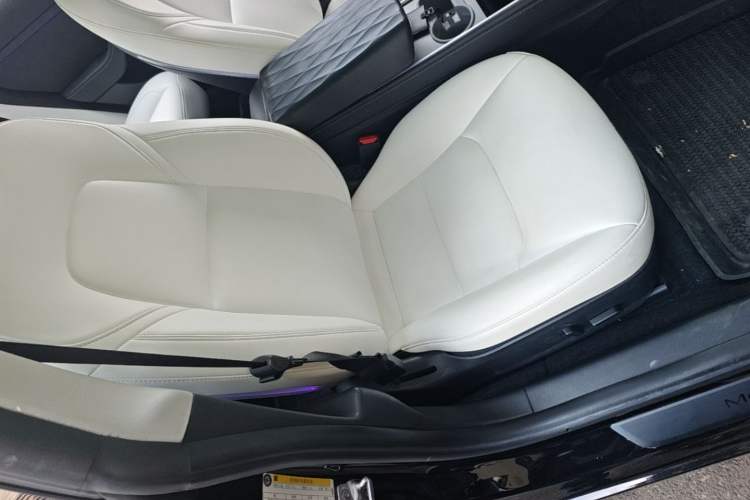 Used Tesla Model 3 2022 Performance High-Performance All-Wheel-Drive Version Right Front Seat