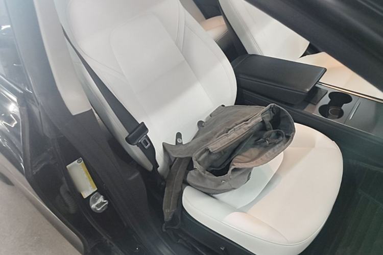 Used Tesla Model 3 2022 Rear-Wheel-Drive Version Right Front Seat