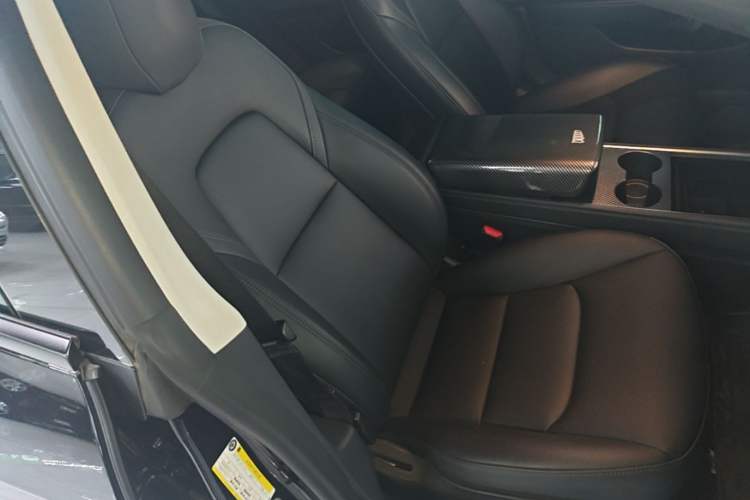 Used Tesla Model 3 2022 Rear-Wheel-Drive Version Right Front Seat
