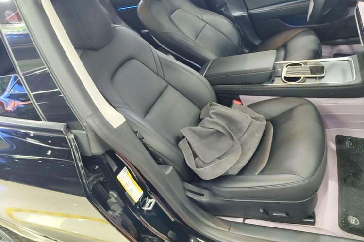 Used Tesla Model 3 2022 Rear-Wheel-Drive Version Right Front Seat