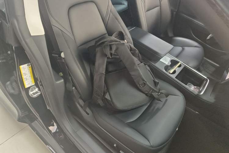 Used Tesla Model 3 2022 Rear-Wheel-Drive Version Right Front Seat