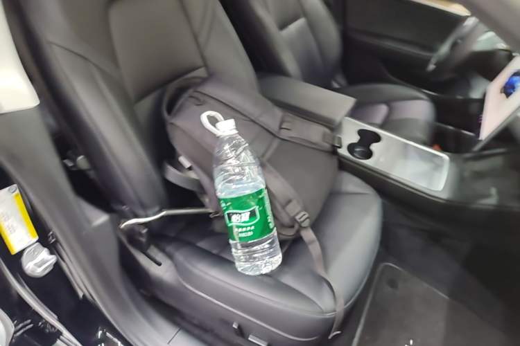 Used Tesla Model 3 2022 Rear-Wheel-Drive Version Right Front Seat