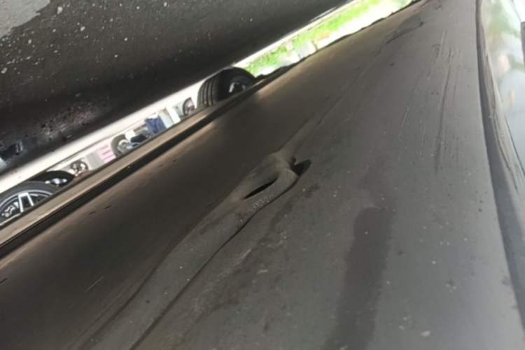 Used Tesla Model 3 2022 Rear-Wheel-Drive Version Right Side Sill