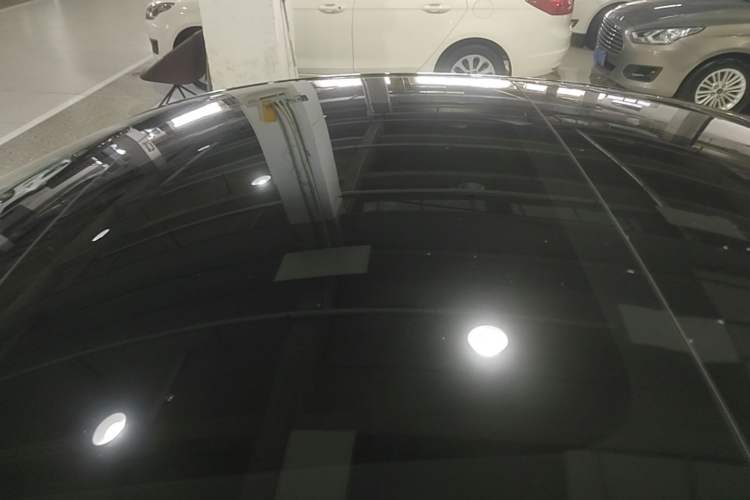 Used Tesla Model 3 2022 Rear-Wheel-Drive Version Roof