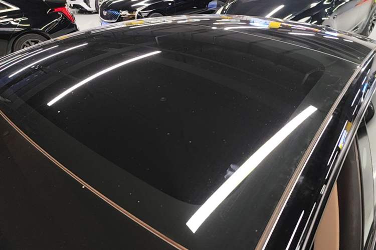 Used Tesla Model 3 2022 Rear-Wheel-Drive Version Roof